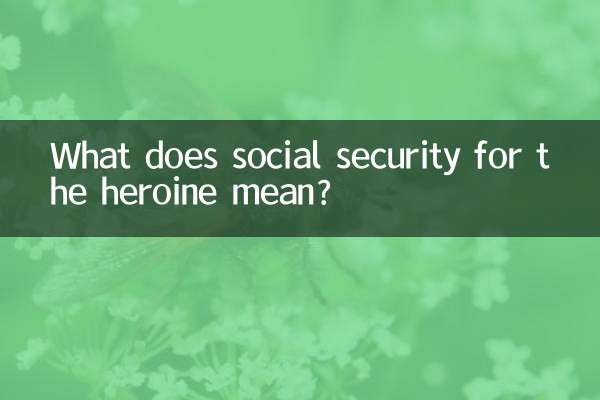 Que signifie la sécurité sociale pour l'héroïne ?