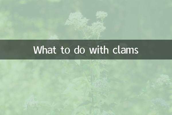 蛤蜊怎麼處理