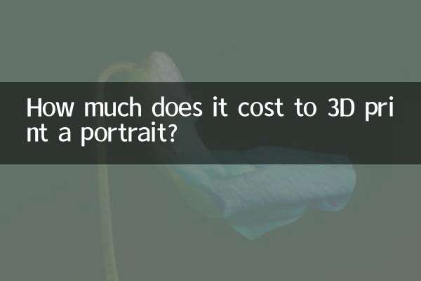 Wie viel kostet der 3D-Druck eines Porträts?