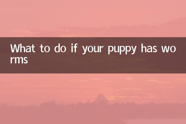 What to do if your puppy has worms