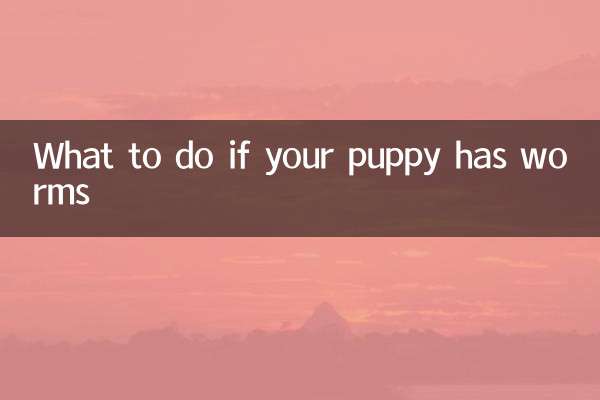 What to do if your puppy has worms