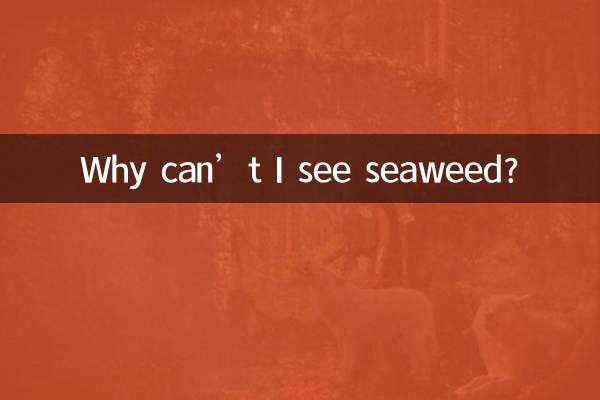 Why can’t I see seaweed?