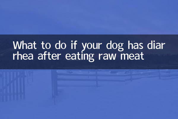 狗狗吃生肉拉稀怎么办