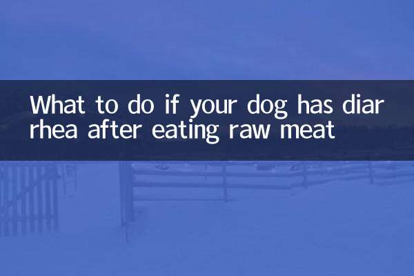 Was tun, wenn Ihr Hund nach dem Verzehr von rohem Fleisch Durchfall hat?