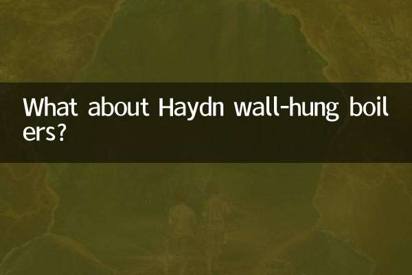 А как насчет настенных котлов Гайдн?