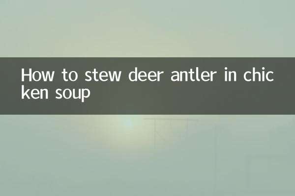 طرز خورش شاخ گوزن در سوپ مرغ