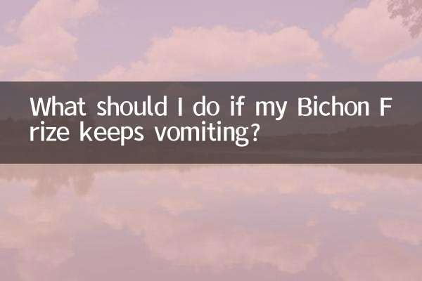 Что делать, если моего Бишон Фризе продолжает рвать?