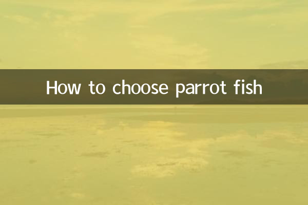 نحوه انتخاب ماهی طوطی