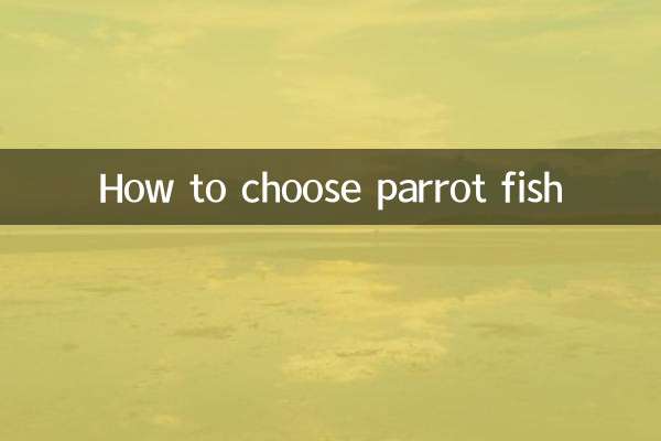 Como escolher peixe papagaio