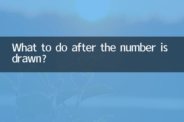 Was ist nach der Ziehung der Zahl zu tun?