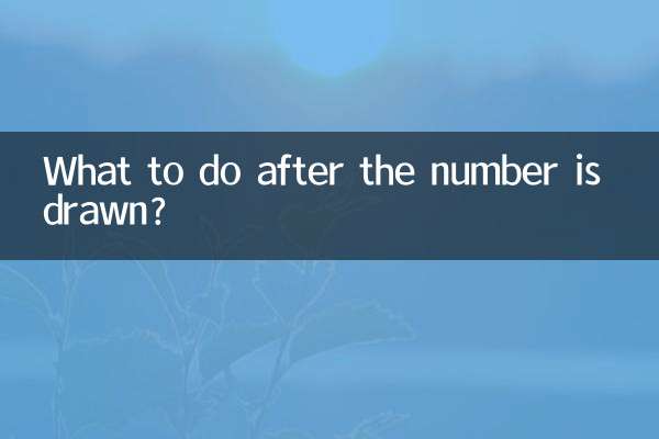 Was ist nach der Ziehung der Zahl zu tun?