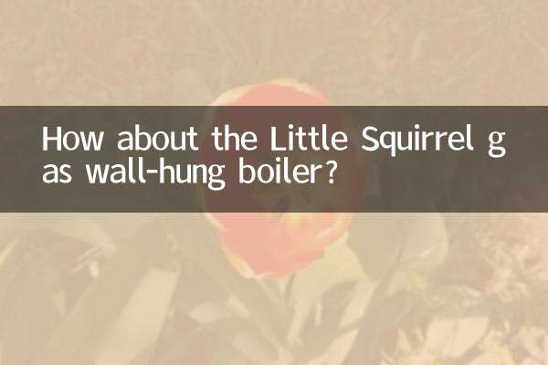 دیگ دیواری گاز سنجاب کوچولو چطور؟