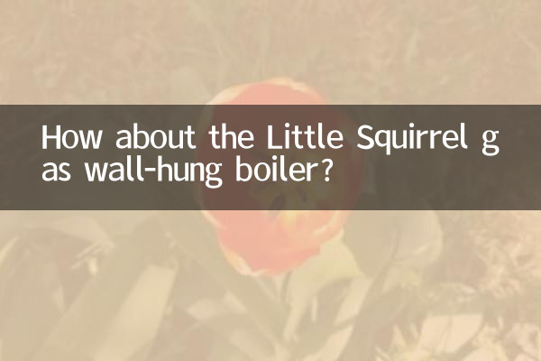 Wie wäre es mit dem Gas-Wandheizkessel Little Squirrel?