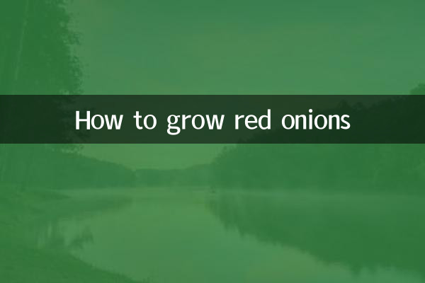 سرخ پیاز کو کیسے اگائیں