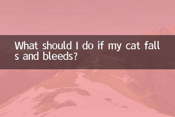 اگر گربه ام افتاد و خونریزی کرد چه کار کنم؟