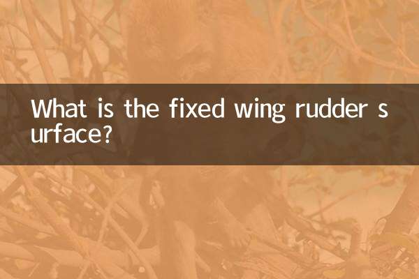 Was ist die Festflügelruderfläche?