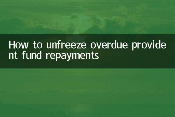 延滞した積立金の返済の凍結を解除する方法
