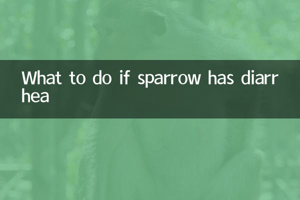 Was tun, wenn der Spatz Durchfall hat?