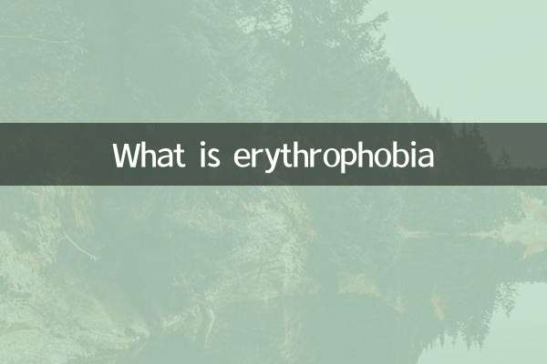 赤恐怖症とは何ですか