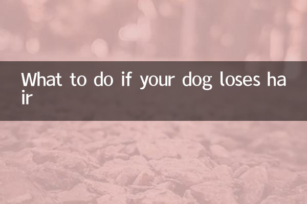 Cosa fare se il tuo cane perde il pelo