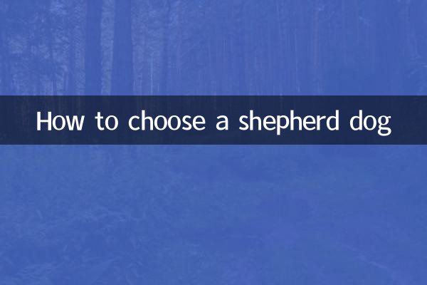 چرواہا کتے کا انتخاب کیسے کریں