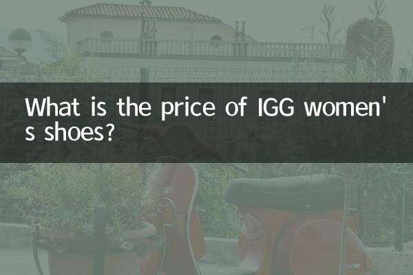 IGGの婦人靴の価格はいくらですか？
