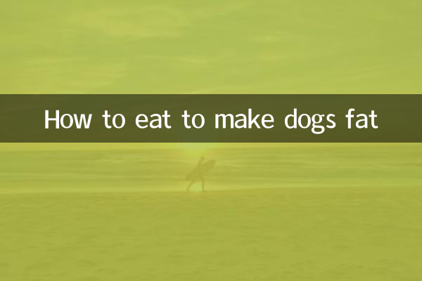 كيف تأكل لجعل الكلاب سمينة