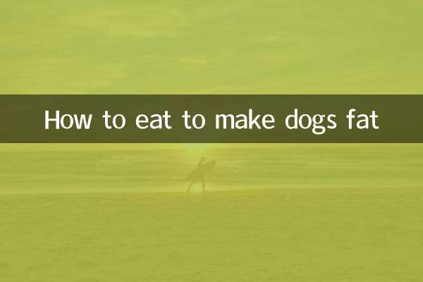 كيف تأكل لجعل الكلاب سمينة