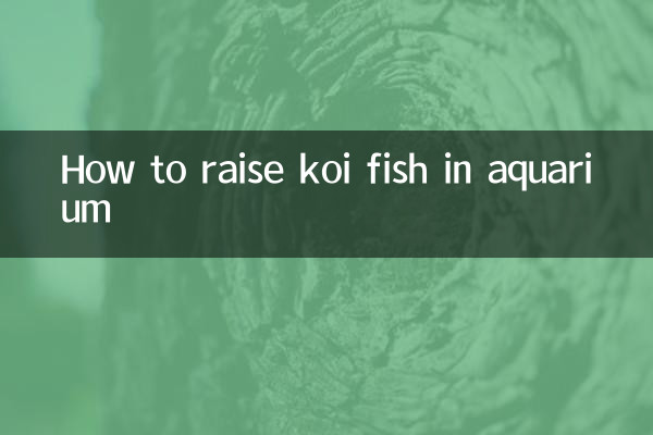 Cómo criar peces koi en acuario