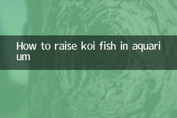 Cómo criar peces koi en acuario