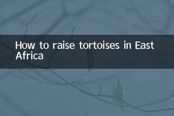 How to raise tortoises in East Africa