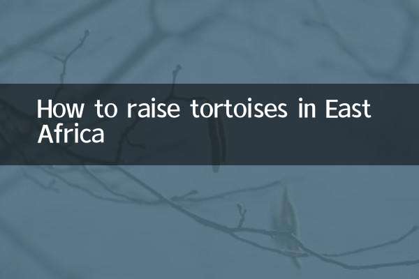 How to raise tortoises in East Africa