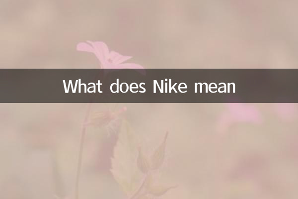 Was bedeutet Nike