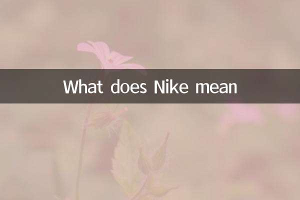 Was bedeutet Nike