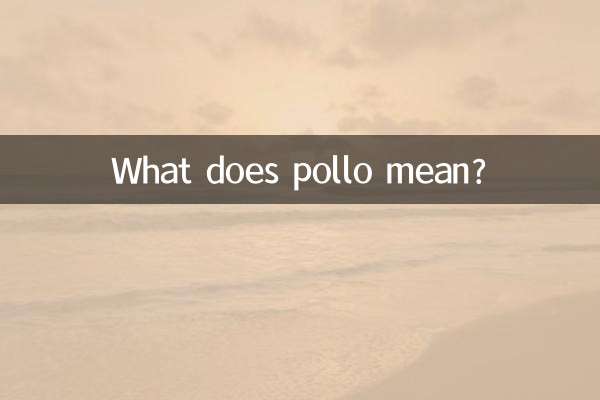 pollo是什麼意思