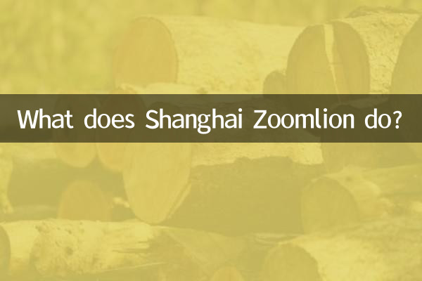 O que o Shanghai Zoomlion faz?