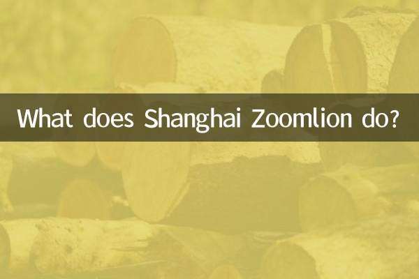 O que o Shanghai Zoomlion faz?