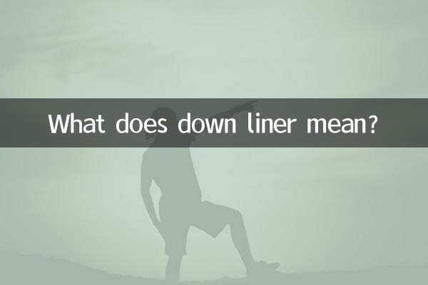 ڈاون لائنر کا کیا مطلب ہے؟