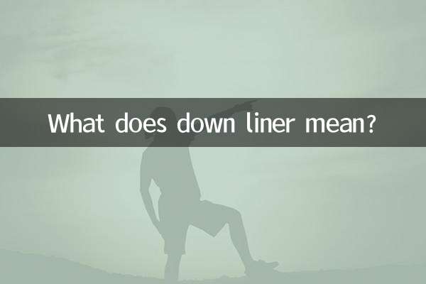 What does down liner mean?