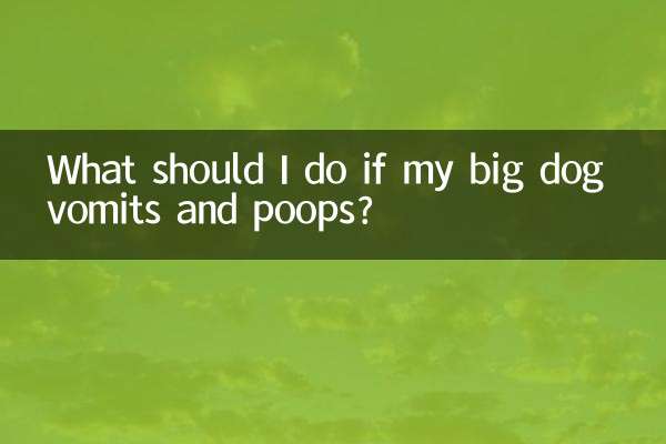 Que dois-je faire si mon gros chien vomit et fait caca ?