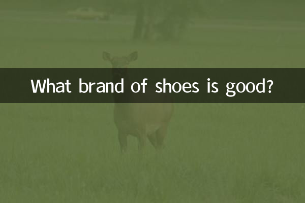 কোন ব্র্যান্ডের জুতা ভালো?