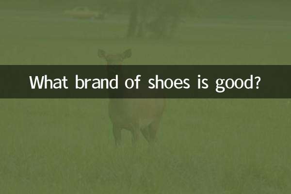 What brand of shoes is good?