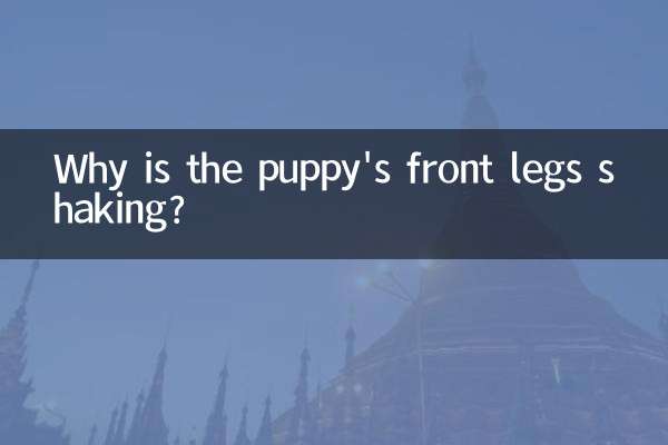 Почему у щенка трясутся передние лапы?