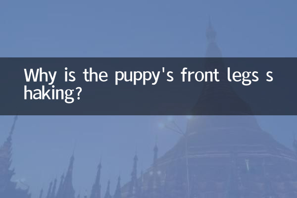 Почему у щенка трясутся передние лапы?