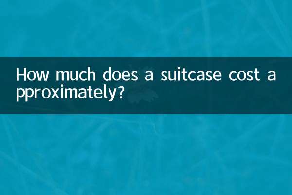 Quanto costa indicativamente una valigia?