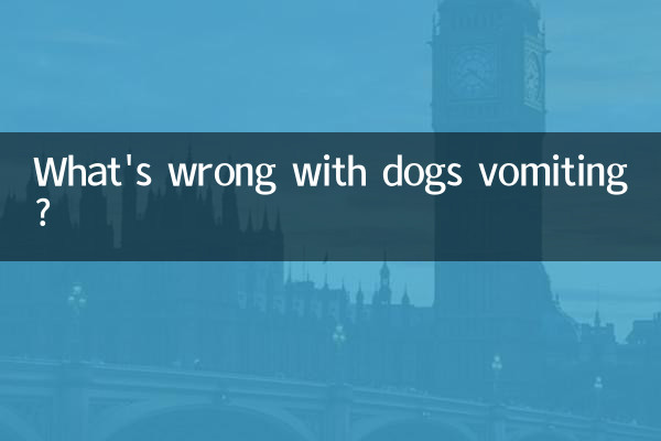কুকুরের বমি করলে সমস্যা কি?
