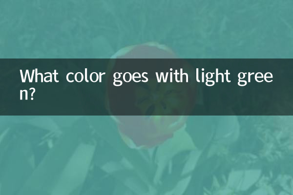 Che colore si abbina al verde chiaro?