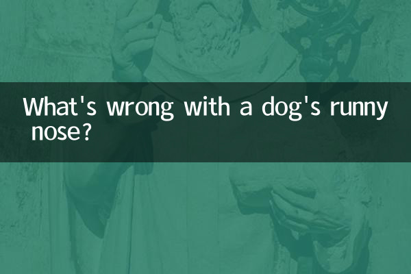 What's wrong with a dog's runny nose?