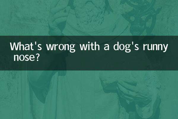 狗流鼻涕怎么回事