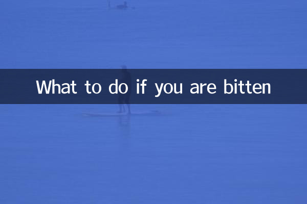 Что делать, если вас укусили